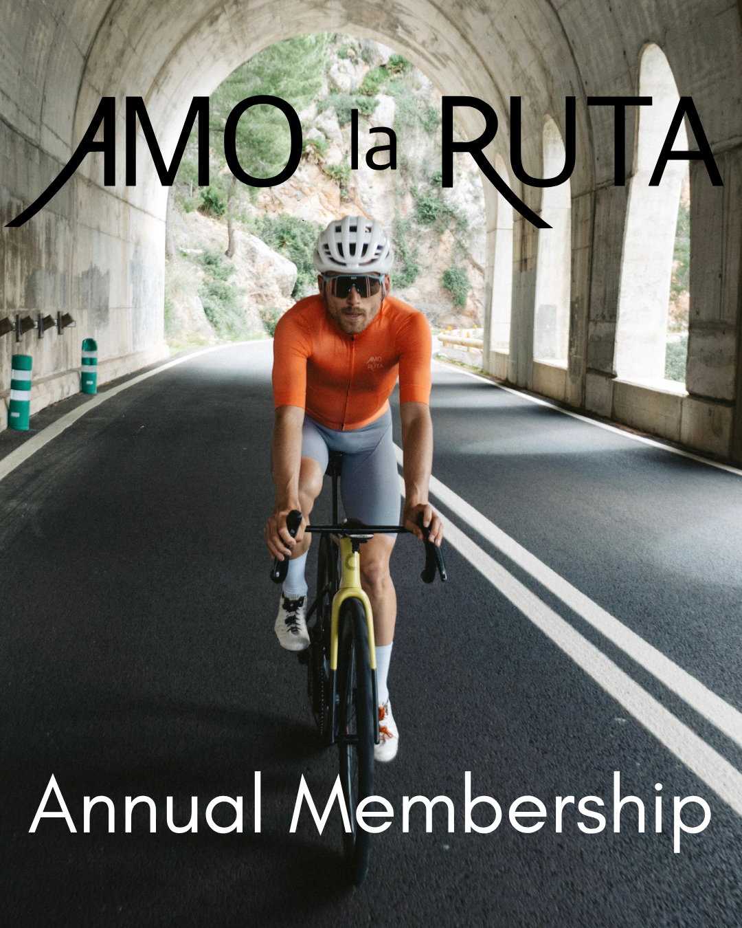 Annual Membership